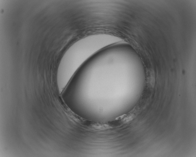 X0000068770712200604281018