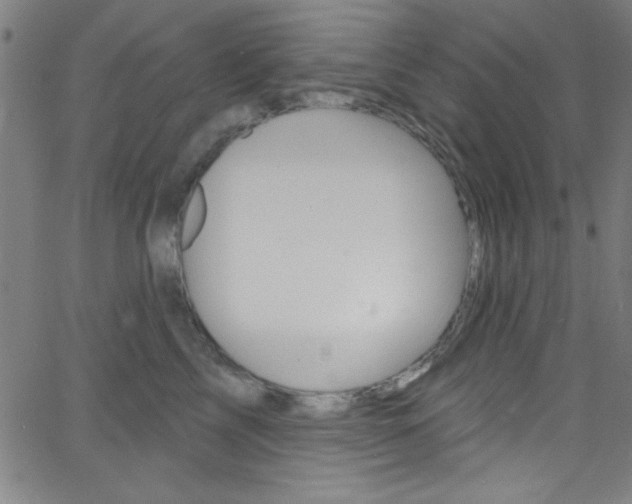 X0000068770713200604281018