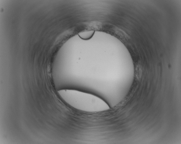 X0000068770714200604281018