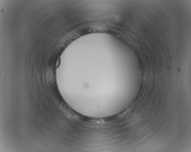 X0000068770715200604281018