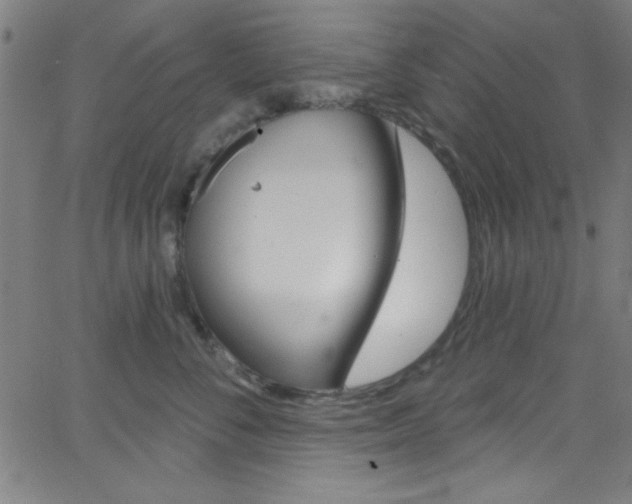 X0000068770716200604281018