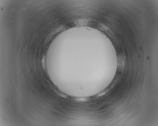 X0000068770717200604281018