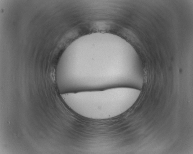 X0000068770718200604281018