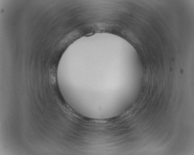 X0000068770719200604281018