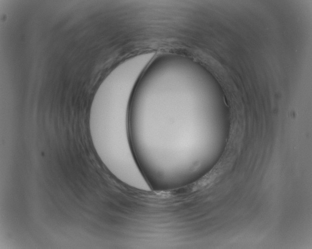 X0000068770720200604281018