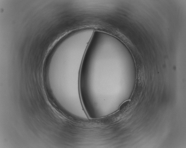 X0000068770722200604281017