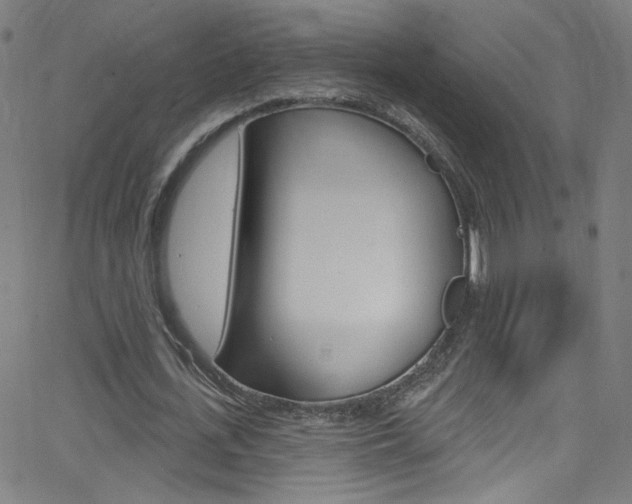 X0000068770723200604281017