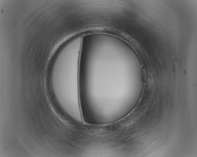 X0000068770728200604281017