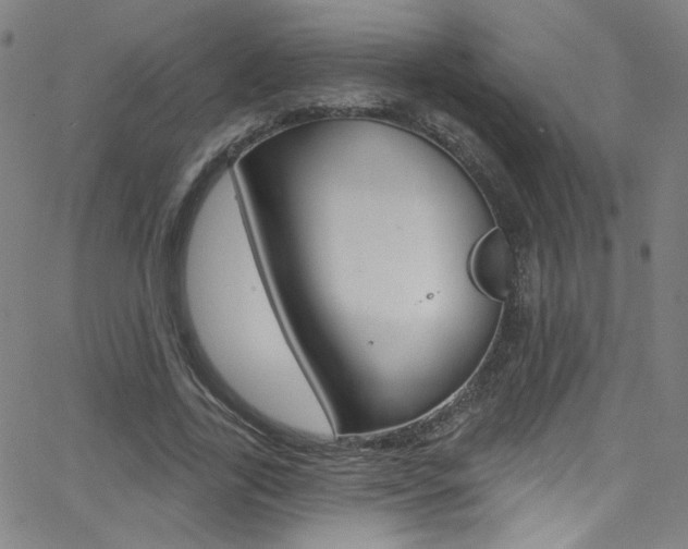 X0000068770731200604281017