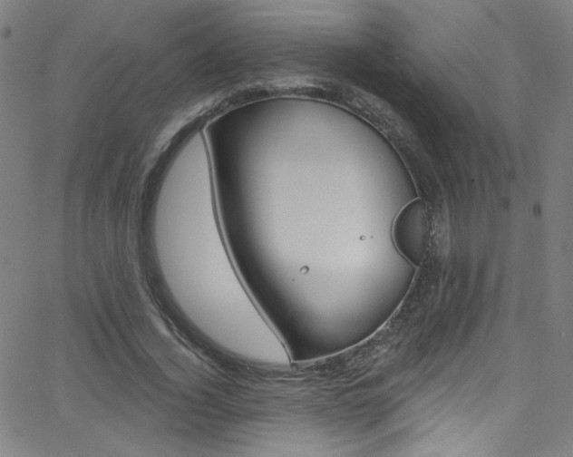 X0000068770732200604281017