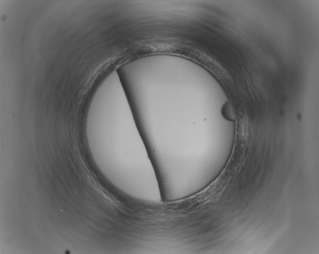 X0000068770733200604281017