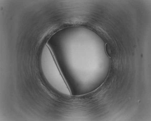 X0000068770735200604281017