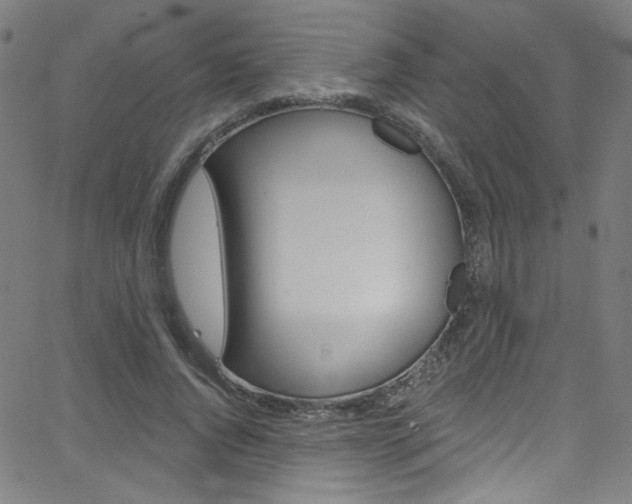 X0000068770736200604281017