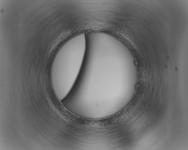 X0000068770738200604281017