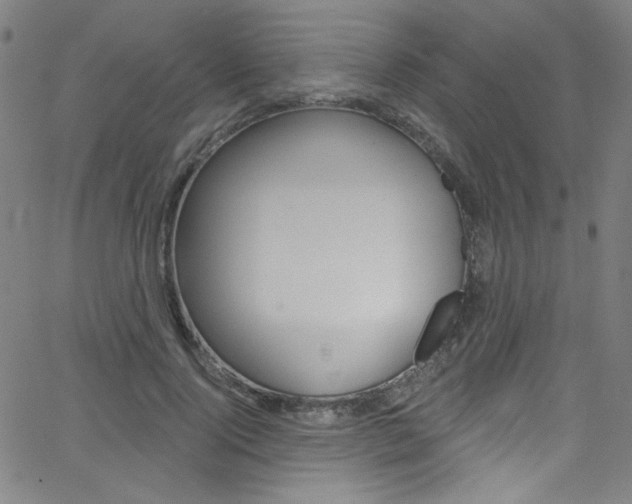 X0000068770740200604281017