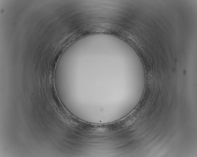 X0000068770741200604281017