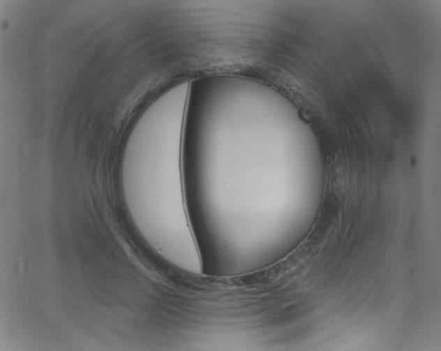 X0000068770742200604281017