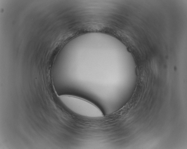 X0000068770743200604281017