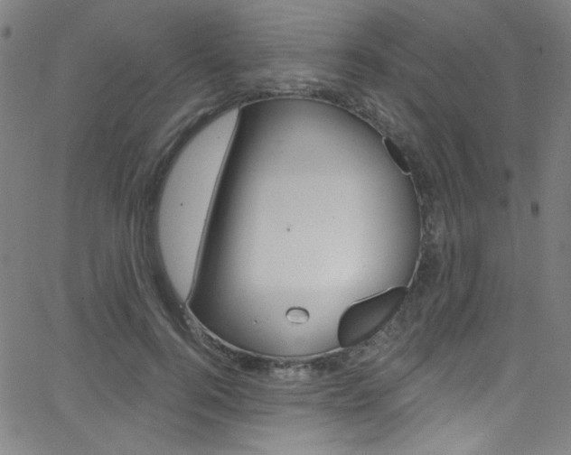 X0000068770744200604281017