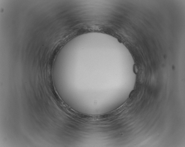 X0000068770747200604281017