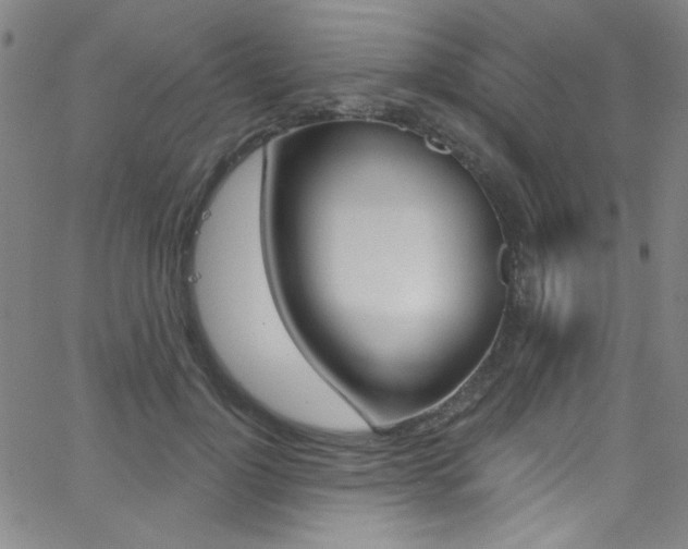 X0000068770748200604281017