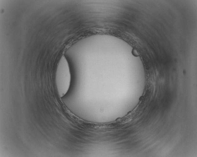 X0000068770749200604281017