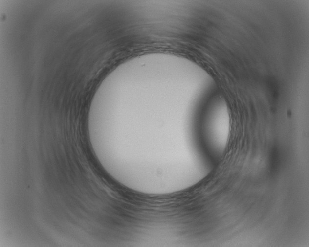 X0000068770750200604281017