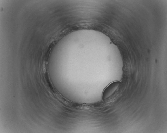 X0000068770751200604281017