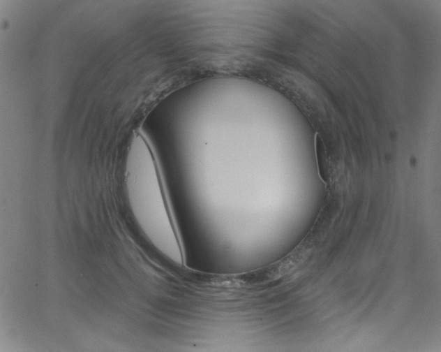 X0000068770752200604281017