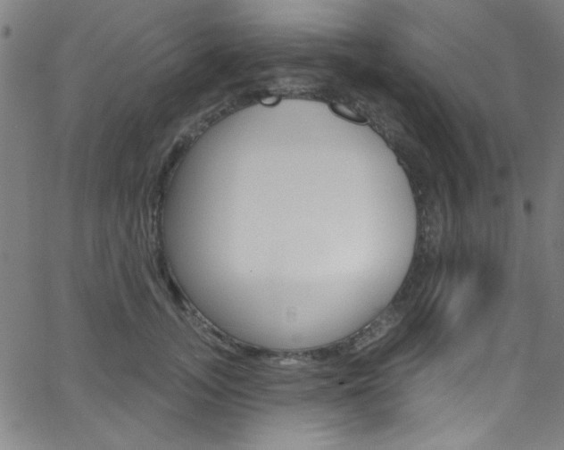 X0000068770755200604281017