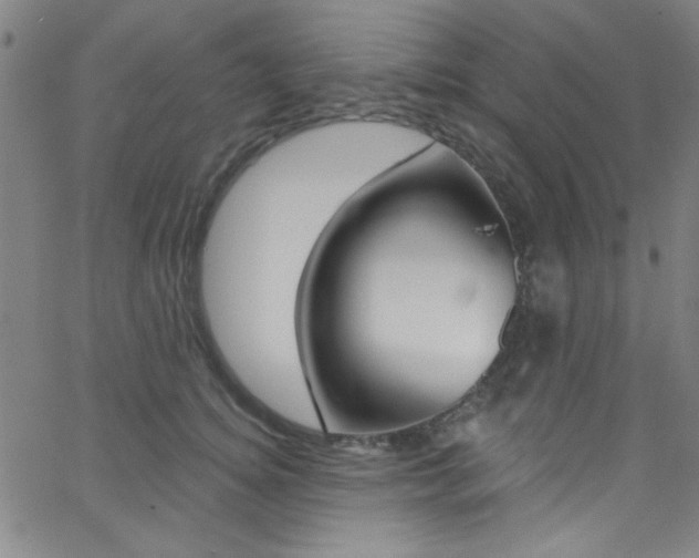 X0000068770756200604281017