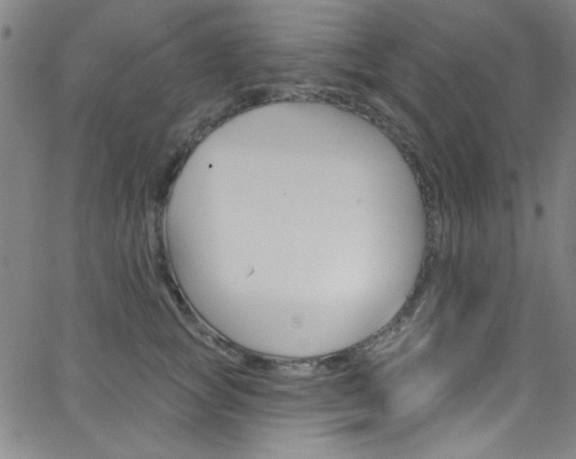 X0000068770757200604281017