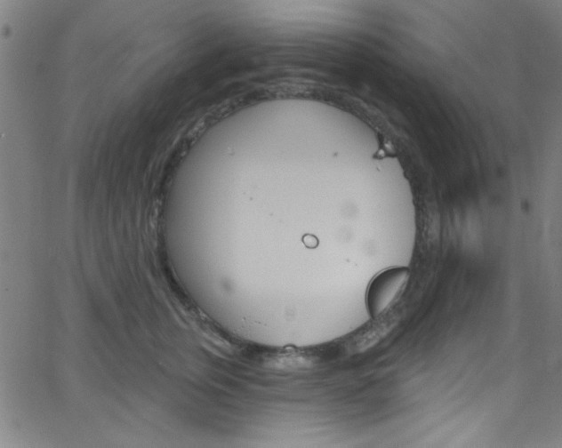 X0000068770759200604281017