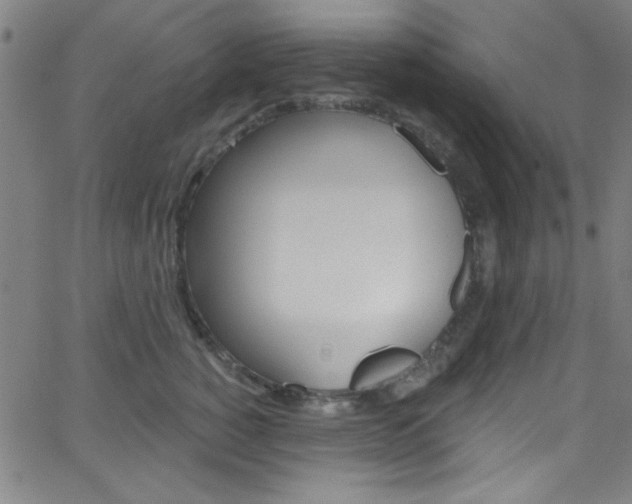 X0000068770760200604281017