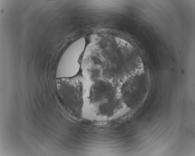 X0000068770761200604281017