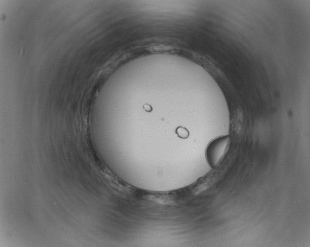 X0000068770763200604281017