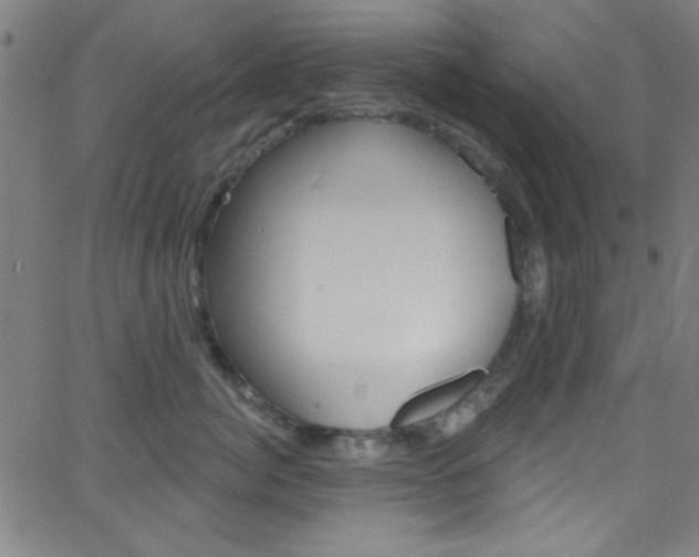 X0000068770764200604281017