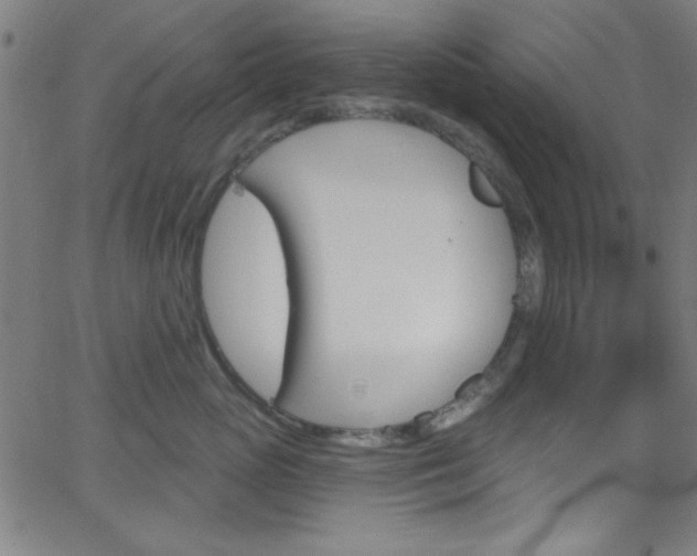 X0000068770765200604281017