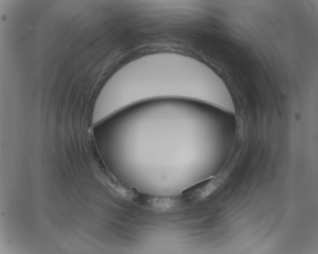 X0000068770766200604281017