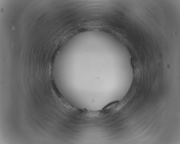 X0000068770767200604281018