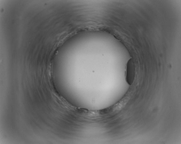 X0000068770768200604281018