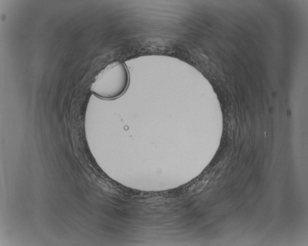 X0000068770769200604281017