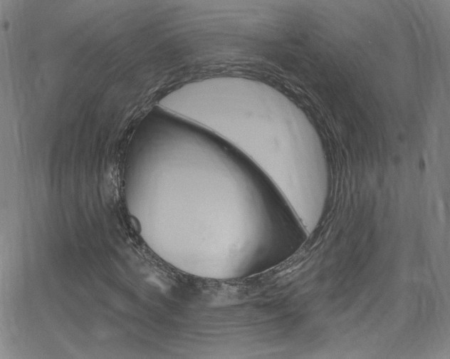 X0000068770772200604281017