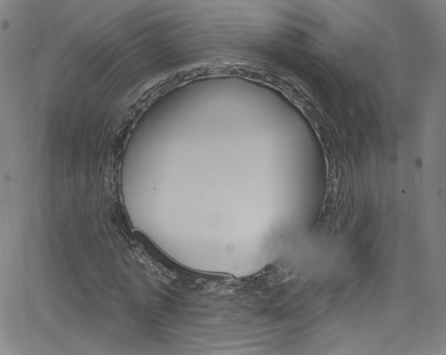 X0000068770773200604281017