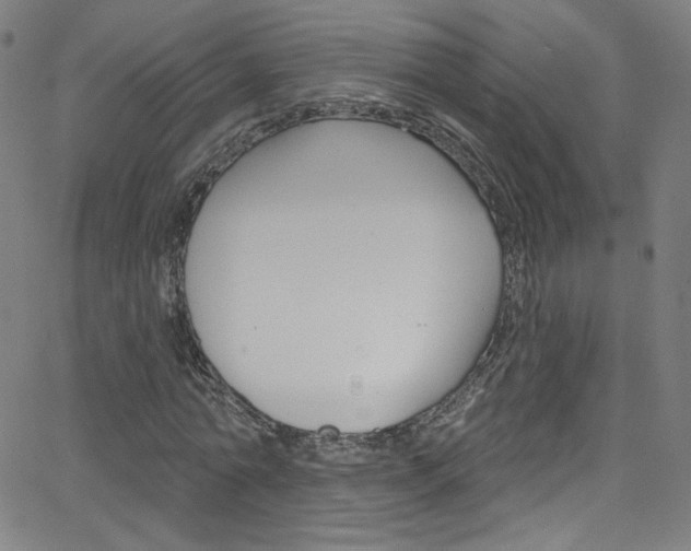 X0000068770774200604281017