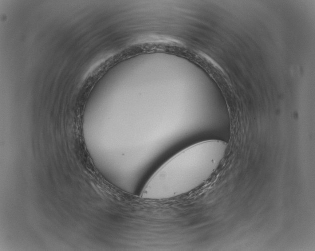 X0000068770775200604281017