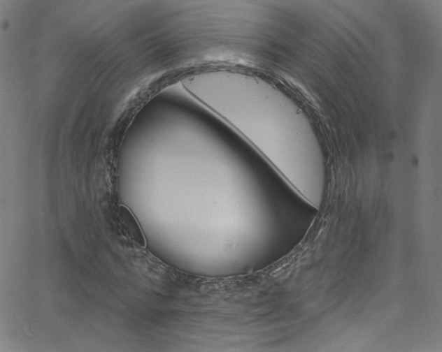 X0000068770776200604281017