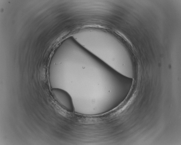 X0000068770777200604281017