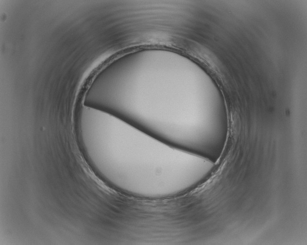 X0000068770780200604281017