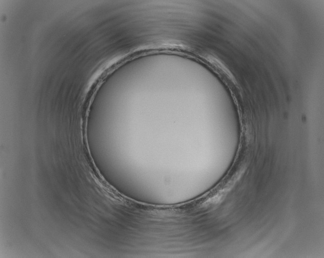 X0000068770781200604281017